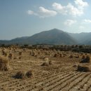 옥천(서울) 이미지