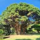 소록도병원 중앙공원(1층) | 남도2박3일(고흥 소록도)