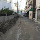 청룡동-40 이데일리