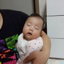 곡성-135 이미지