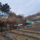 묵호초등학교 이미지