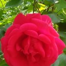 장충파출소 이미지