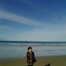 현영국 Daum카페