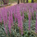 회복약국 이미지