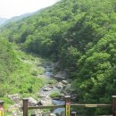 장령산자연휴양림 이미지