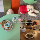 행운가득초당주유소 | 제주시청 힙한 카페 겸 바 FINN 데이트 코스로 추천 f.초당이