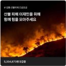강릉 산불 피해 기부로 힘을 <b>모아</b><b>주세요</b>