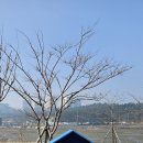 경기둘레길 안산51코스 이미지