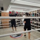 마린킹콩 복싱아카데미 이미지