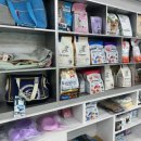 리얼독스 강아지분양 일산본점 이미지