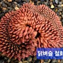 철화