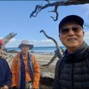 8월 9일 Long Bay Park Walks 이미지