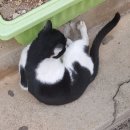 백령리조텔 이미지