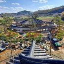 라파마을 | 요즘 핫한 경주 신상 카페, 애견동반,부모님과 함께 가도 좋은 카페,노경보차라파