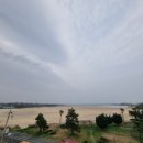 뉴그린펜션 네이버블로그