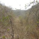 도장골천 이미지