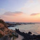 게스트하우스장 이미지