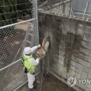 용산-68 이미지