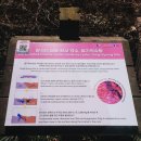 약수탕 | [경북 청송] 물맛이 기억에 남는 청송 달기약수탕 원탕 후기｜톡 쏘는 물맛의 정체?!