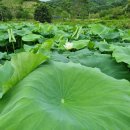 청연마을 이미지