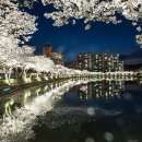 용평사거리 이미지