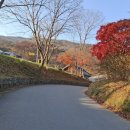 송림전마당 | 공주 여행 가볼만한곳 / 마곡사 단풍 코스(11월 22일) / 주차장 &amp; 주차료