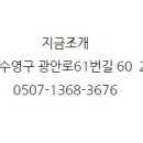 지금조개 이미지