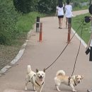 박성준동물병원 이미지