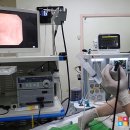 용강동물병원 이미지