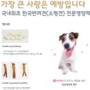 주식회사 우리가제약 이미지