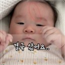 신생아 아기 손톱 트리머, 결국 구매했어요(+아가드 손톱 트리머 후기)