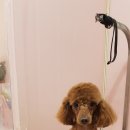 러블리멍 이미지