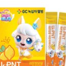 캐치팡팡 이미지