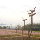 거창중앙고등학교 이미지