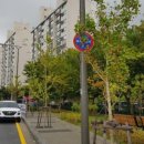 주정차033 이미지