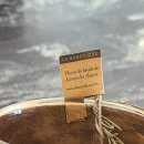 무유인(MUIN) 이미지