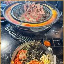 신마포갈매기 이미지