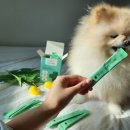 하이엔드덴탈 이미지