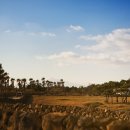 동백목장 이미지