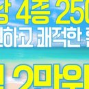 분당-363 이미지