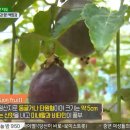 플랜미디어 이미지