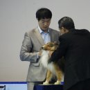 바이온인터내셔널 이미지