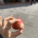 영락반점 이미지