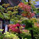 명상 - 자연 이미지