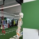 루트핏(ROOT FIT) | [세종PT] 소담동헬스장 세종피티는 이루트핏PT세종점