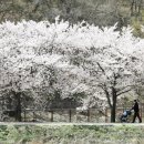 "국내 최고의 명품숲길은 어디?"…걷기 좋은 `명품숲길 30선` 이미지