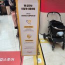 스타펫 | [경기/고양] 스타필드 고양 펫 유모차 및 플라워 팝업스토어 후기