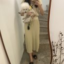 매그니유 이미지