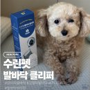 노견도 집에서 편하게, 강아지 발바닥 위생미용 수린펫 미니 클리퍼