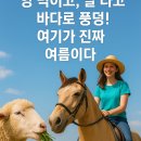 울진시범바다목장해상낚시 | 🐚 동해 바캉스 끝판왕! 경북 지경리 해수욕장 &amp; 승마·목장 체험 총정리